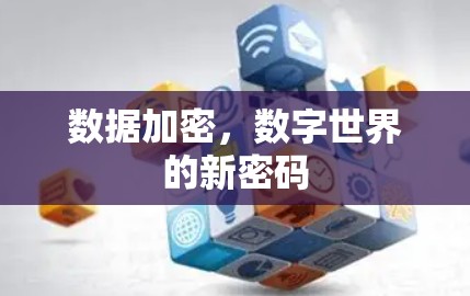 数据加密，数字世界的新密码