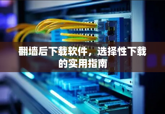 翻墙后下载软件，选择性下载的实用指南