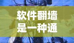 软件翻墙是一种通过特定软件实现访问网络资源的手段，允许用户或计算机直接访问合法网络资源。以下是对软件翻墙的详细分析