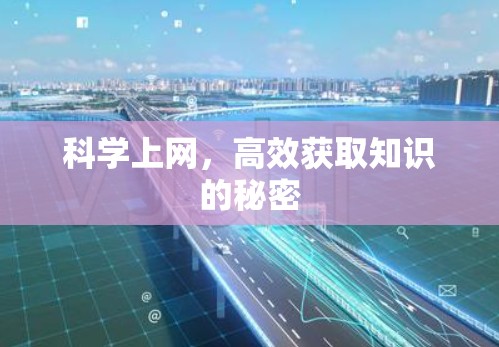 科学上网，高效获取知识的秘密
