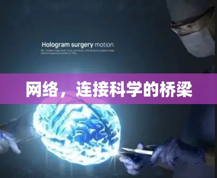 网络，连接科学的桥梁
