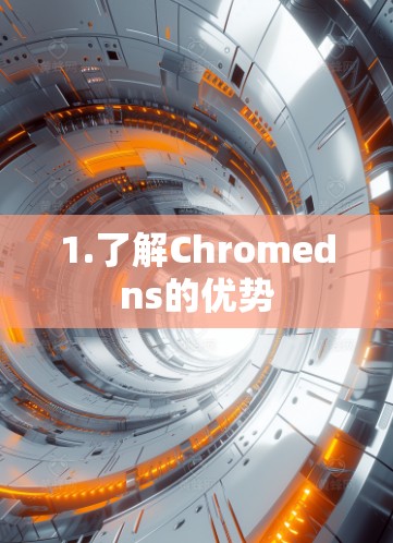 1.了解Chromedns的优势