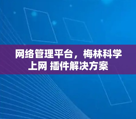 网络管理平台,梅林科学上网 插件解决方案 网络管理平台,梅林科学上网 插件解决方案