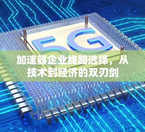 加速器企业线路选择,从技术到经济的双刃剑 加速器企业线路选择,从技术到经济的双刃剑