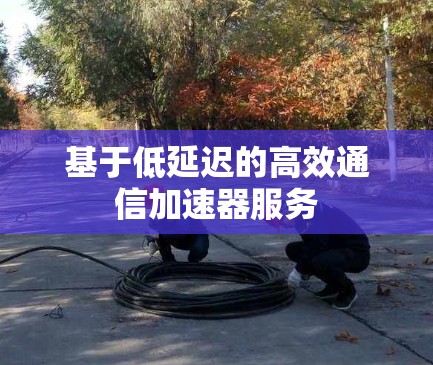 基于低延迟的高效通信加速器服务
