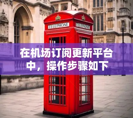 在机场订阅更新平台中，操作步骤如下