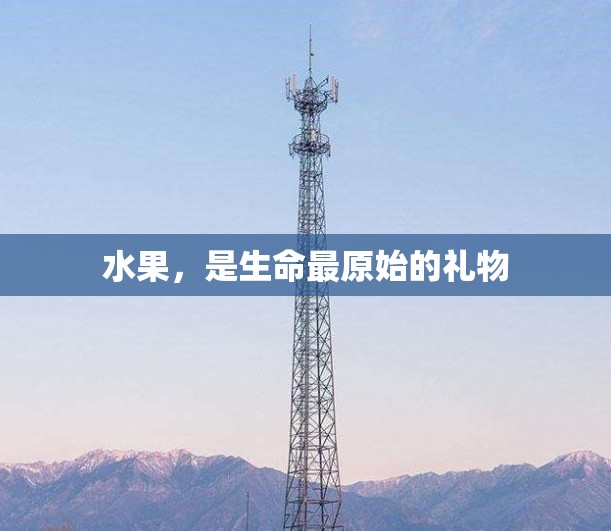 水果，是生命最原始的礼物
