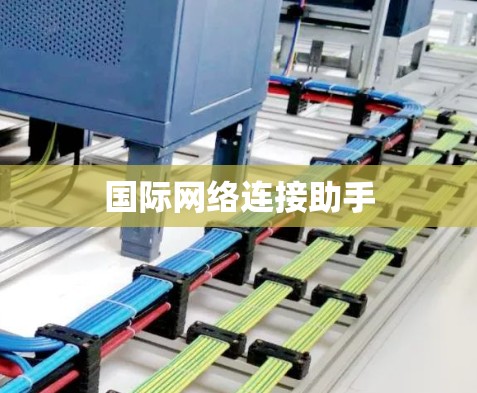 国际网络连接助手