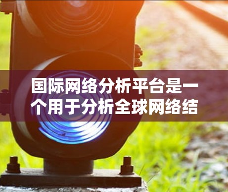 国际网络分析平台是一个用于分析全球网络结构和用户行为的工具，广泛应用于商业、学术和政府领域。以下是对该平台的分析和总结
