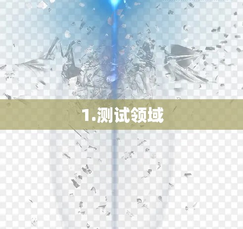 1.测试领域