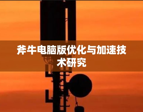 斧牛电脑版优化与加速技术研究