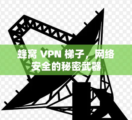 蜂窝 VPN 梯子，网络安全的秘密武器