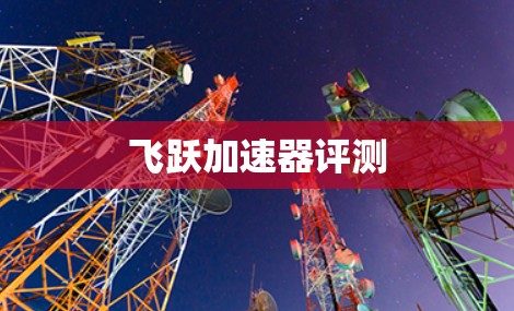 飞跃加速器评测