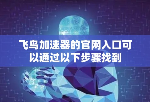 飞鸟加速器的官网入口可以通过以下步骤找到