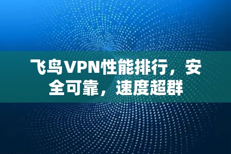 飞鸟VPN性能排行，安全可靠，速度超群