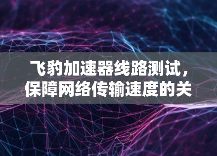 飞豹加速器线路测试，保障网络传输速度的关键因素