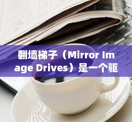 翻墙梯子（Mirror Image Drives）是一个驱动器管理工具，用于复制驱动器文件到另一个磁盘上。以下是对翻墙梯子的详细评价