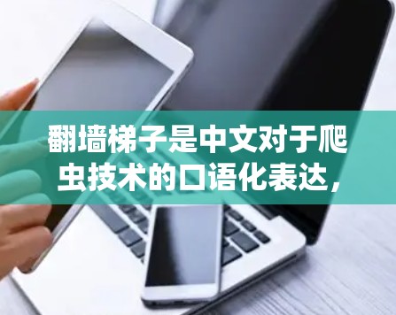 翻墙梯子是中文对于爬虫技术的口语化表达，通常指的是爬虫工具或技术，用于爬取网站、下载内容或进行测试。以下是一些爬虫工具的推荐列表，供您参考