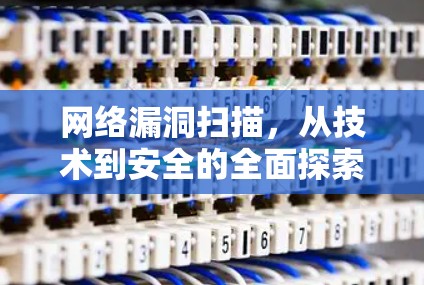 网络漏洞扫描，从技术到安全的全面探索