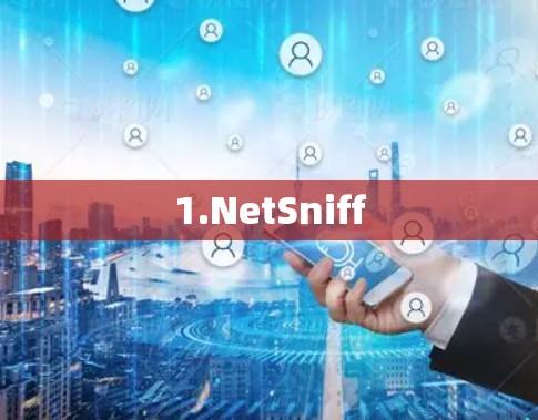 1.NetSniff