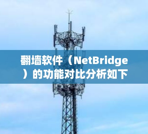 翻墙软件（NetBridge）的功能对比分析如下