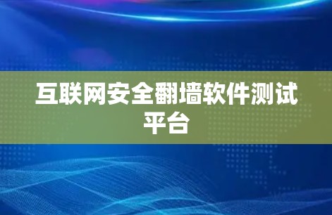 互联网安全翻墙软件测试平台
