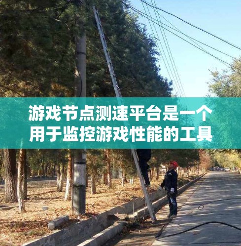 游戏节点测速平台是一个用于监控游戏性能的工具，通过分析游戏节点的使用情况，帮助优化游戏以提高其稳定性和流畅度。以下是关于这个平台的详细信息