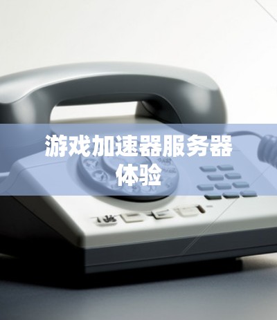 游戏加速器服务器体验