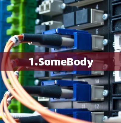 1.SomeBody 1.SomeBody