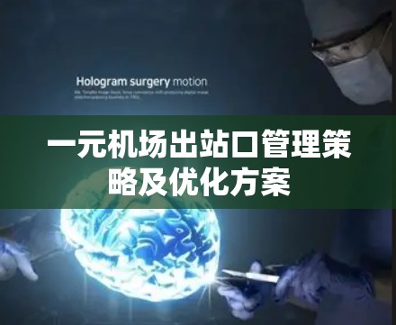 一元机场出站口管理策略及优化方案