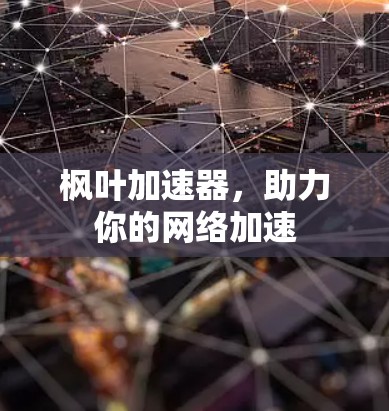 枫叶加速器，助力你的网络加速