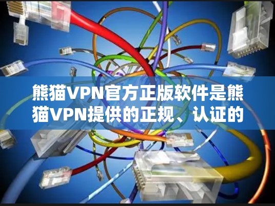 熊猫VPN官方正版软件是熊猫VPN提供的正规、认证的安全VPN服务。以下是对该软件的详细分析