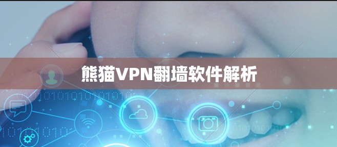 熊猫VPN翻墙软件解析